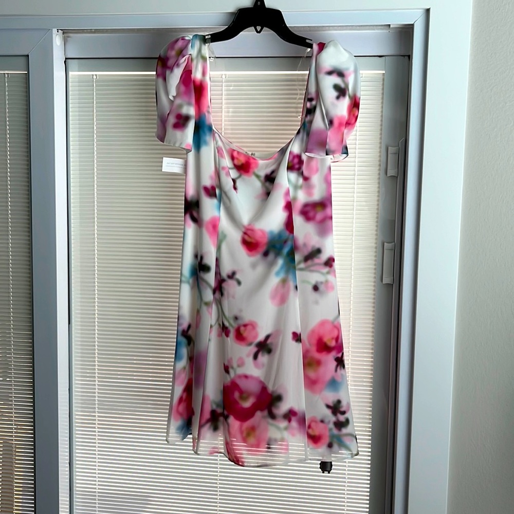 FAME & PARTNERS Daydream Floral Pink Dress with puff sleeves. Size US 8.